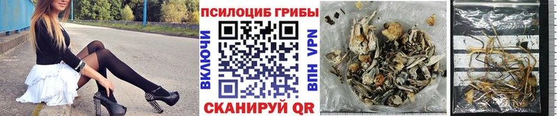 продажа наркотиков  Ростов-на-Дону  Псилоцибиновые грибы MAGIC MUSHROOMS 