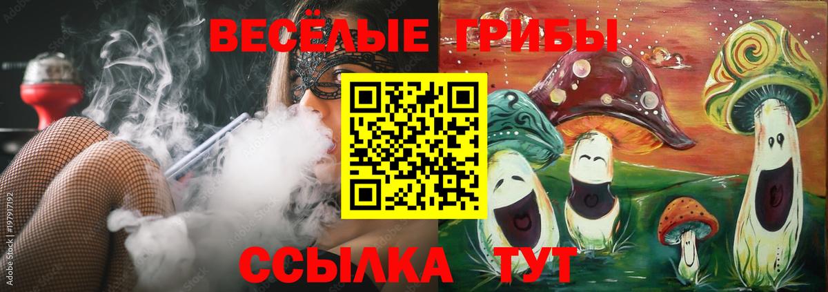 где продают   Вход с VPN  Псилоцибиновые грибы MAGIC MUSHROOMS  Ростов-на-Дону  Псилоцибиновые грибы Psilocybe 