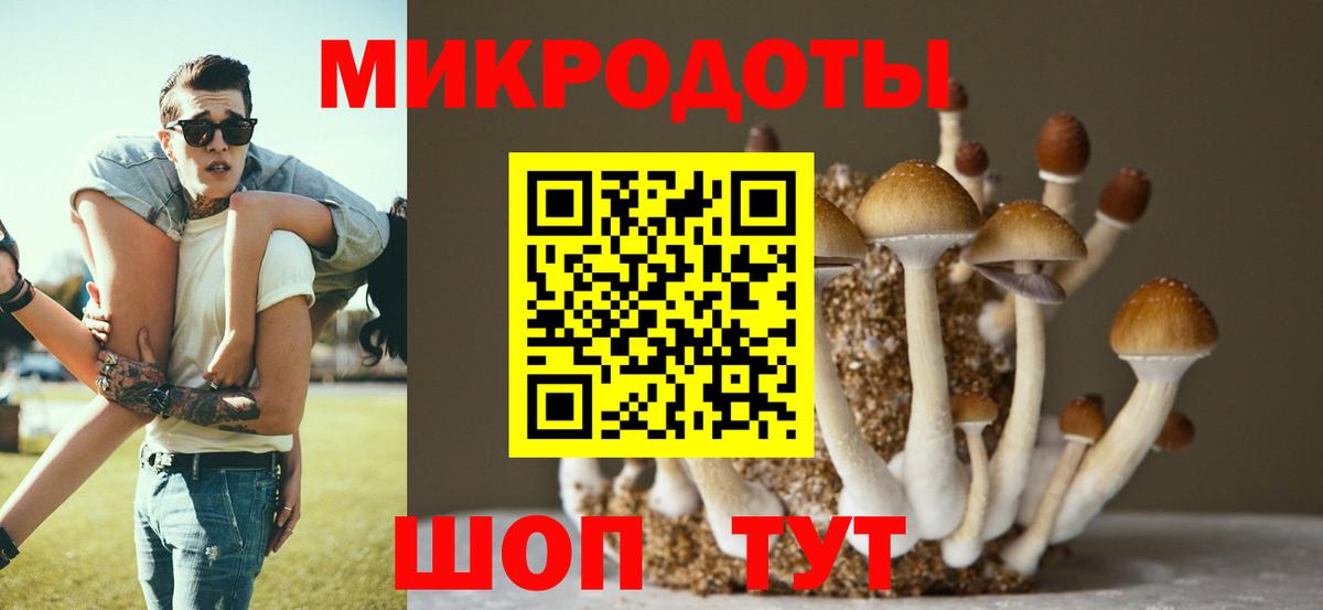 Галлюциногенные грибы Psilocybe Ростов-на-Дону